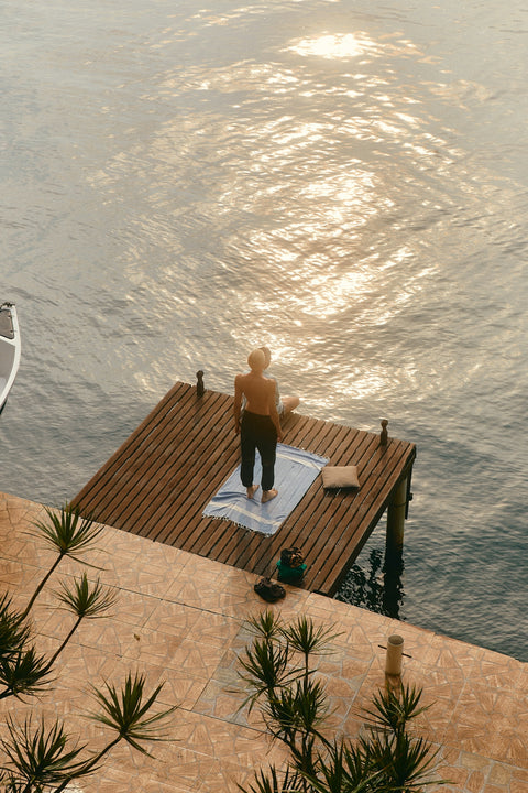 How does Trans-Resveratrol differ from regular Resveratrol?