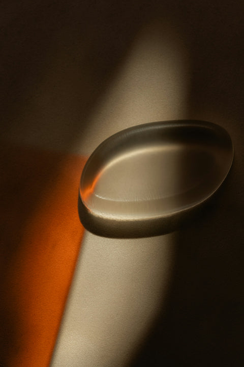 What is autophagy and why is it important?