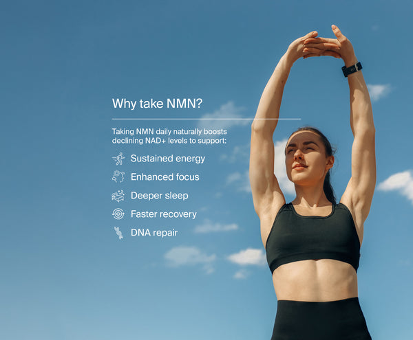 Pure NMN by Manapura | The Best, Pure, Clinical-Grade Longevity & Nootropic Supplements | Free Shipping